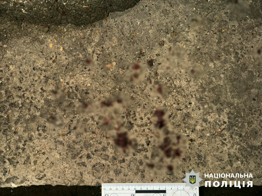 15329 image for slide