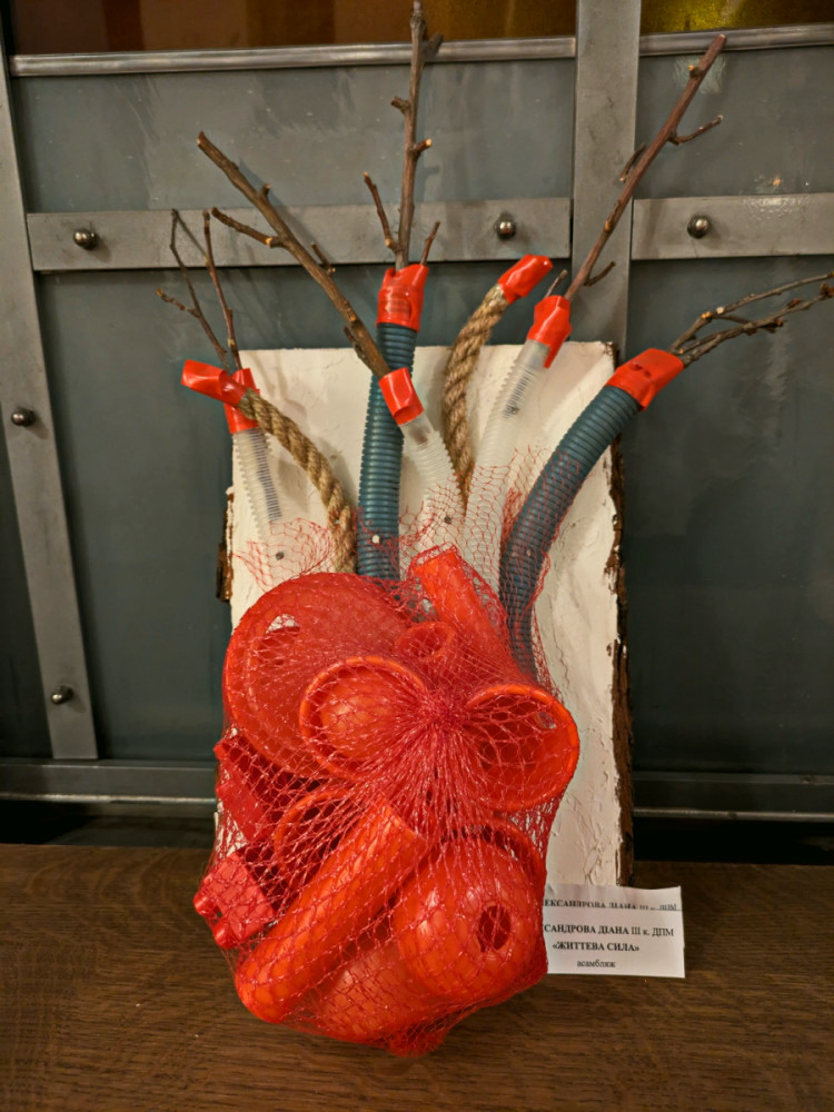 15564 image for slide