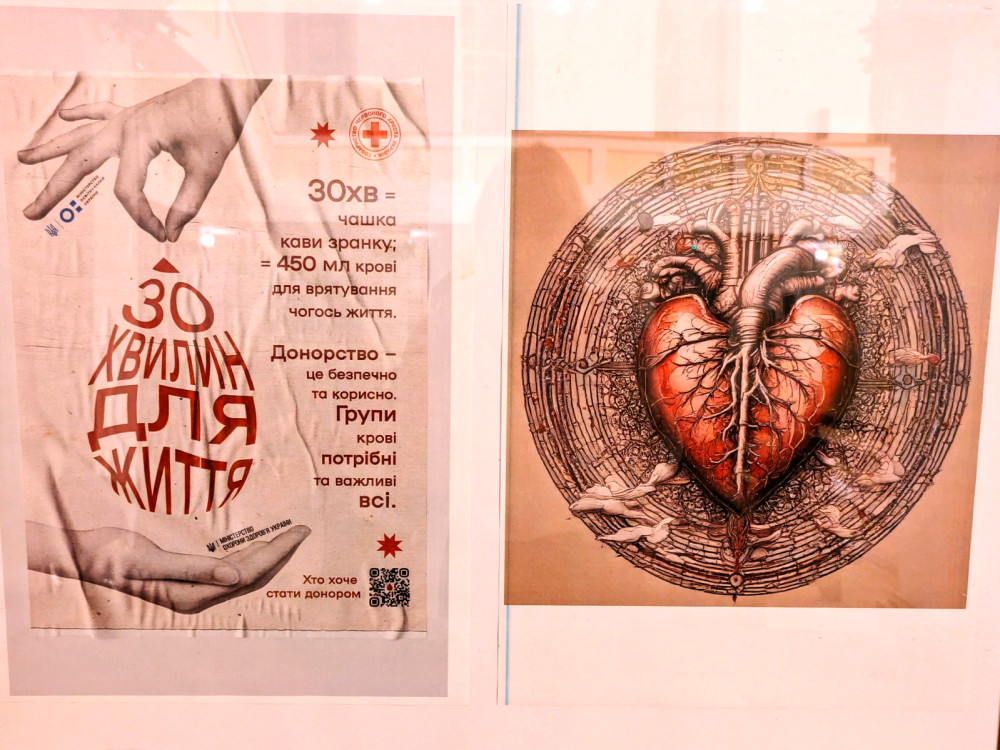 15567 image for slide