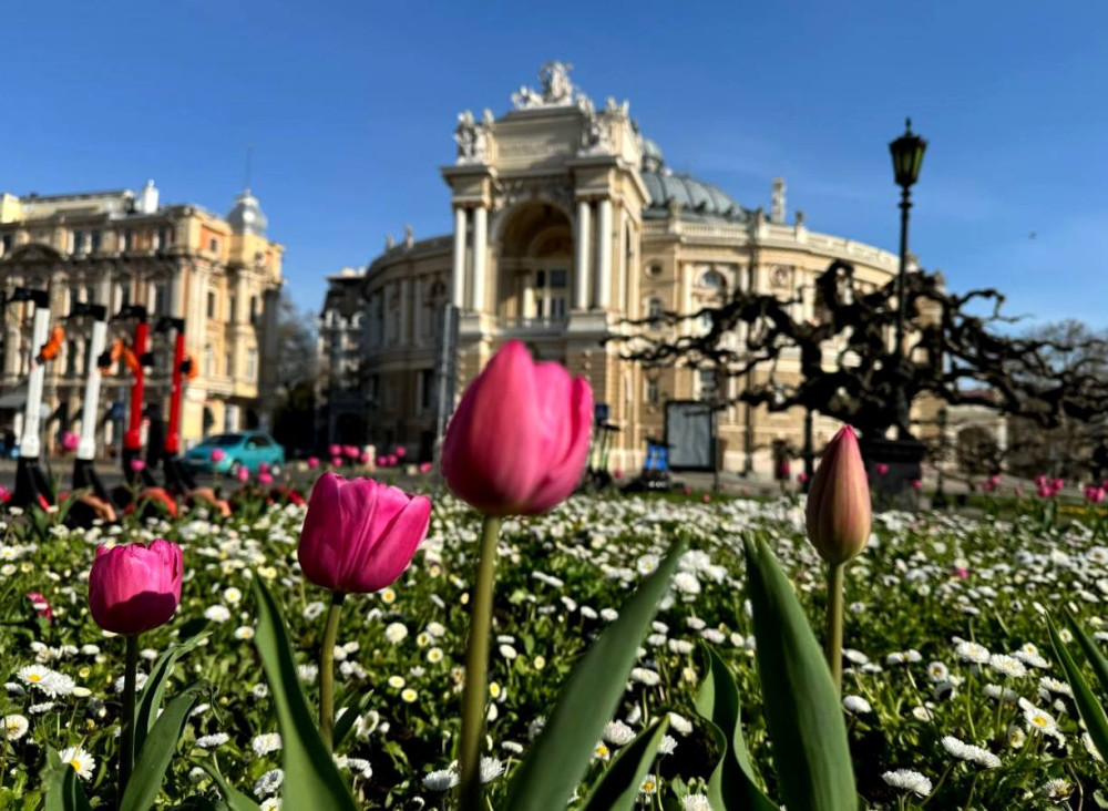 15741 image for slide