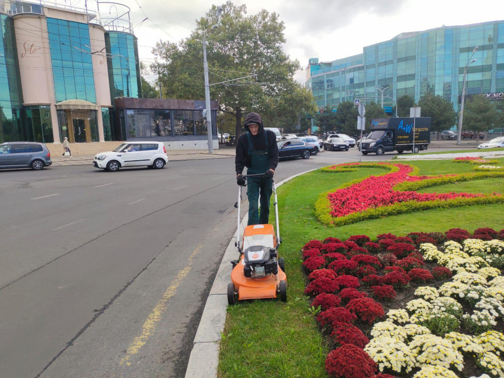 15747 image for slide