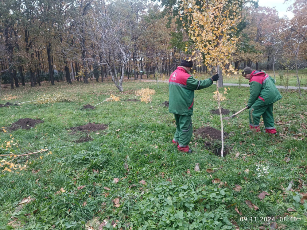 15758 image for slide