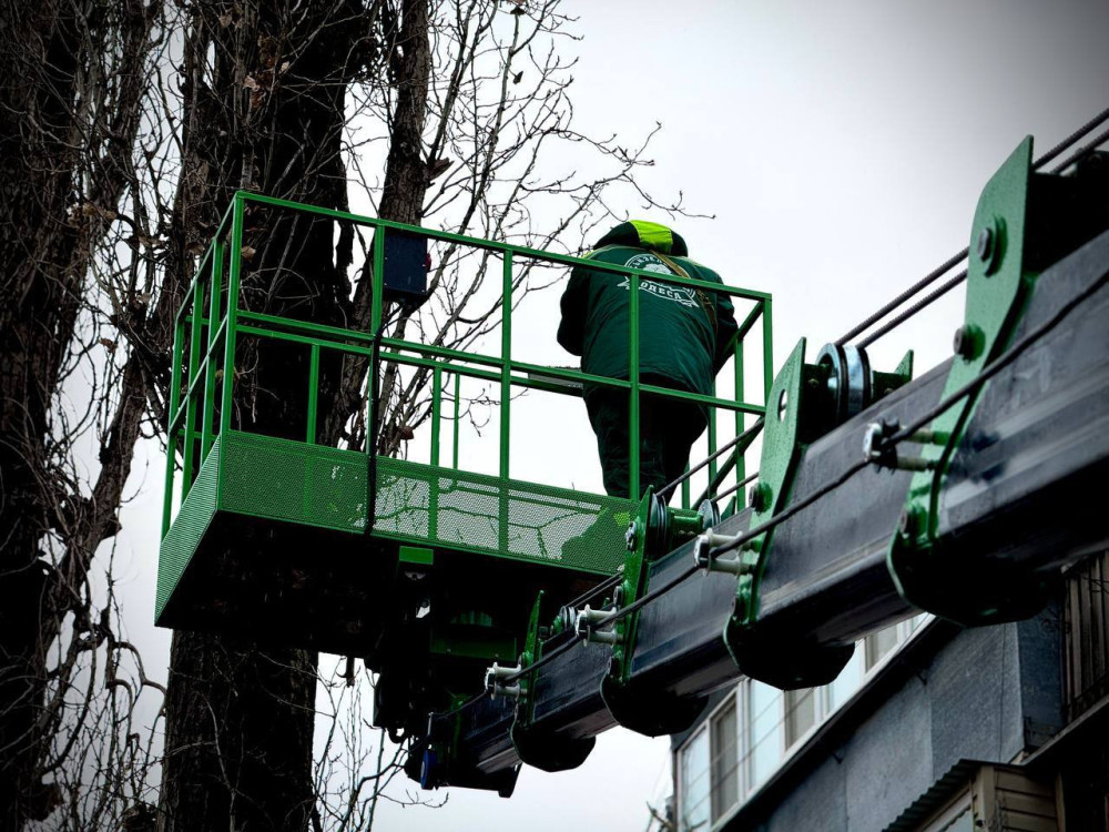 15762 image for slide