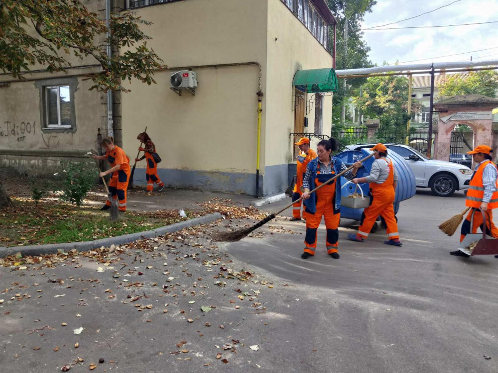 15794 image for slide