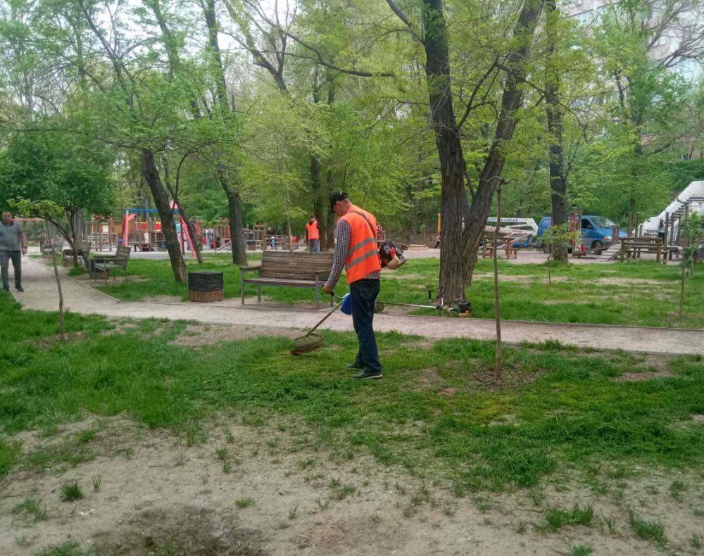 15802 image for slide