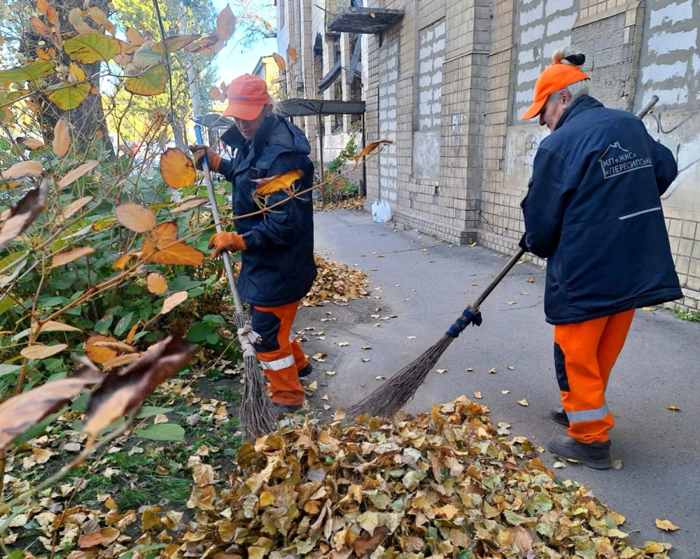 15806 image for slide