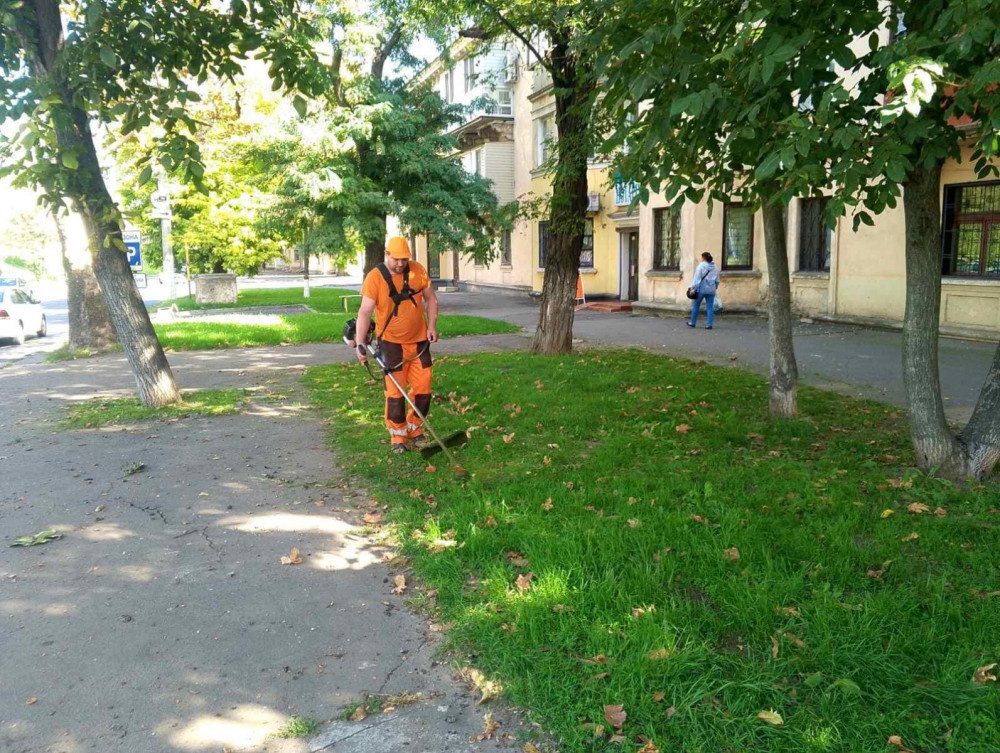 16267 image for slide