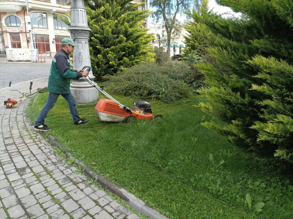 16395 image for slide