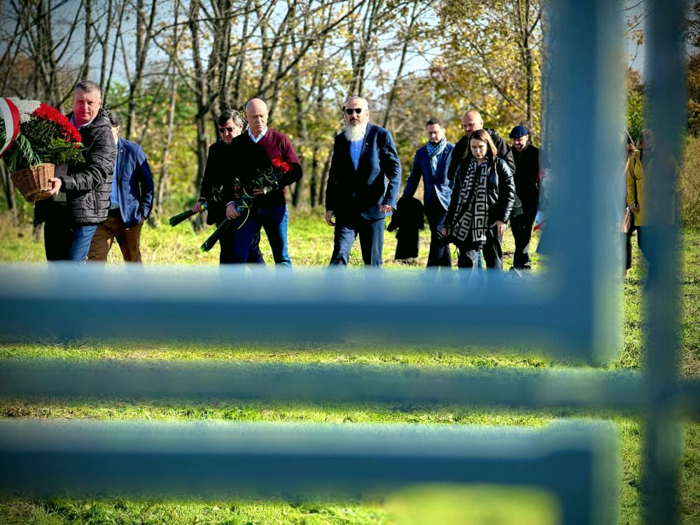 16766 image for slide