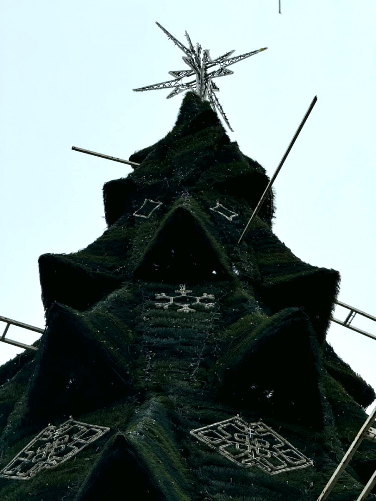 17399 image for slide