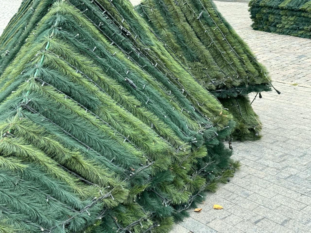 17406 image for slide