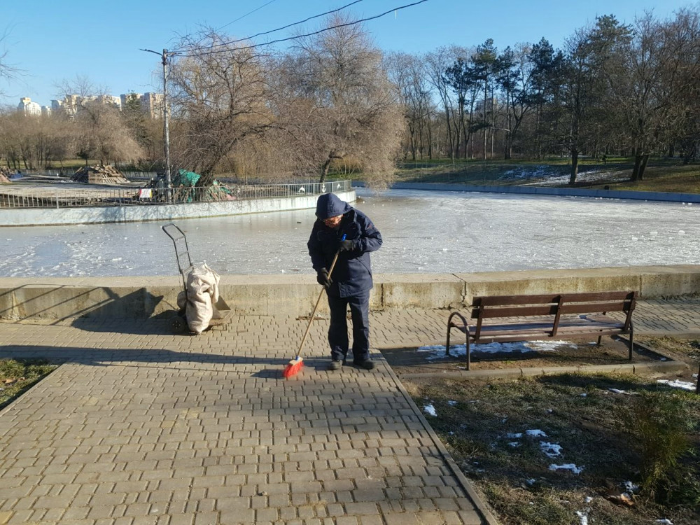 17867 image for slide