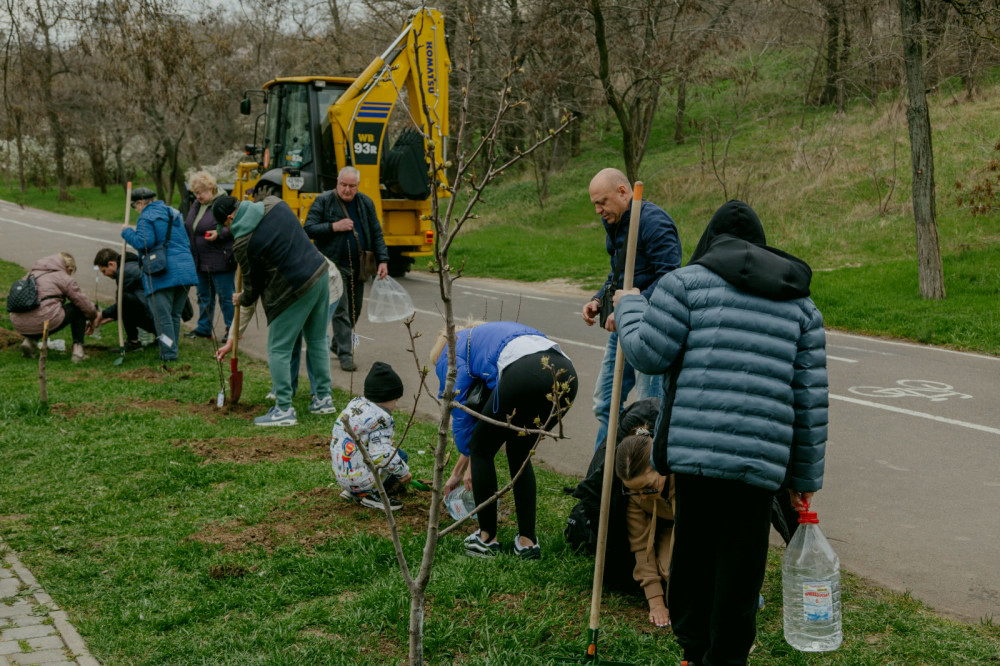 18224 image for slide