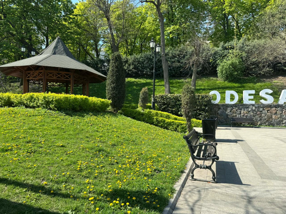 18561 image for slide