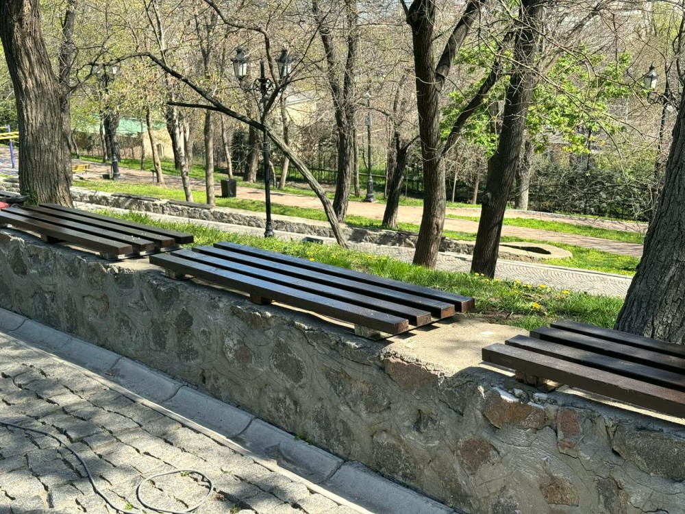 18562 image for slide