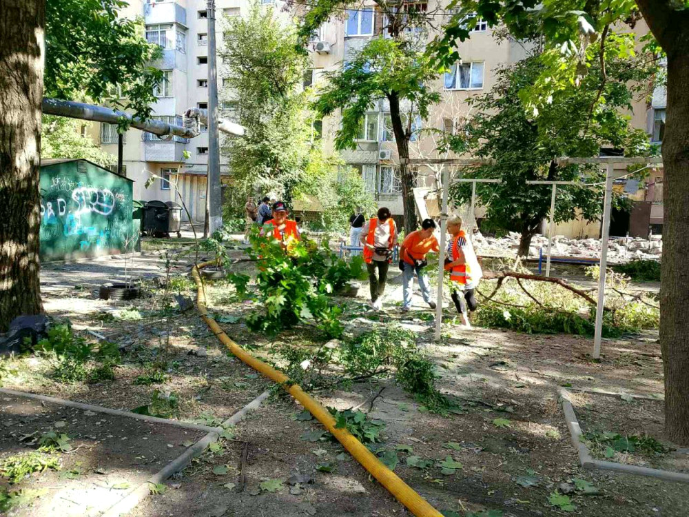 20262 image for slide