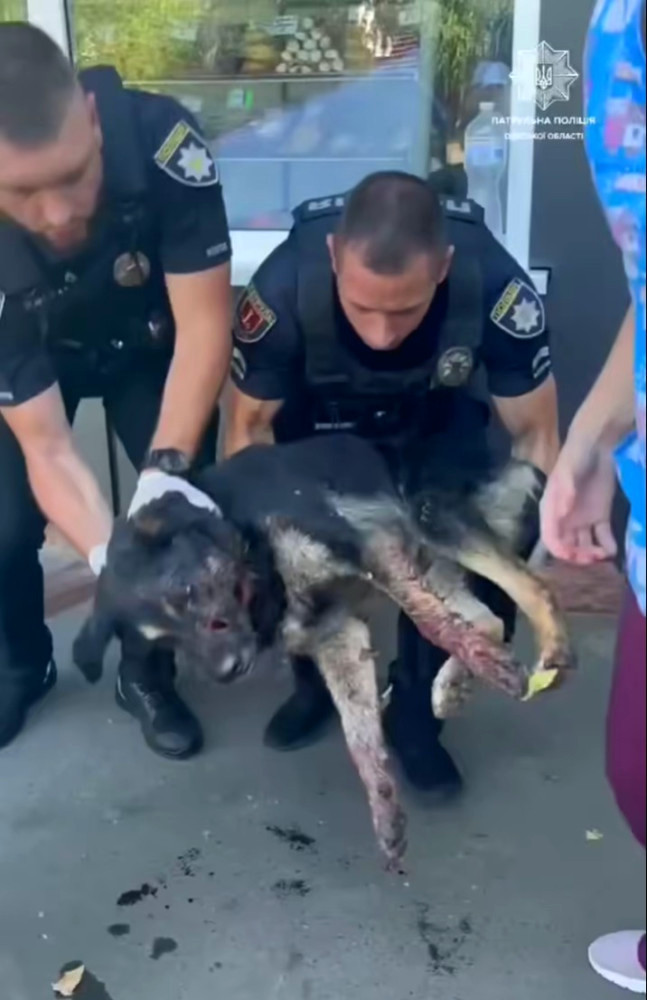 20467 image for slide