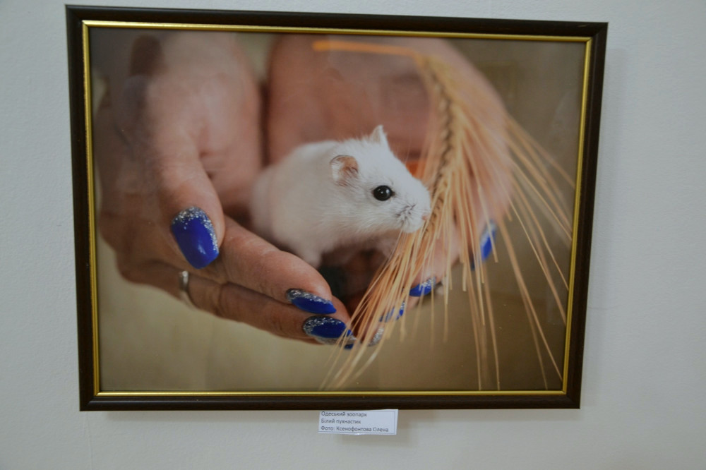 20675 image for slide