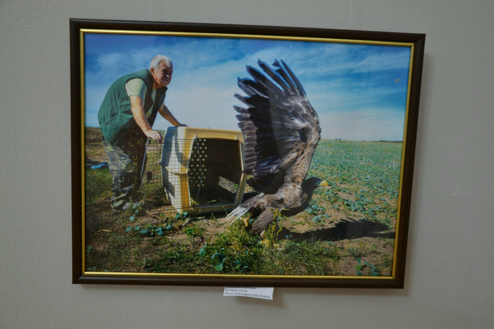 20677 image for slide