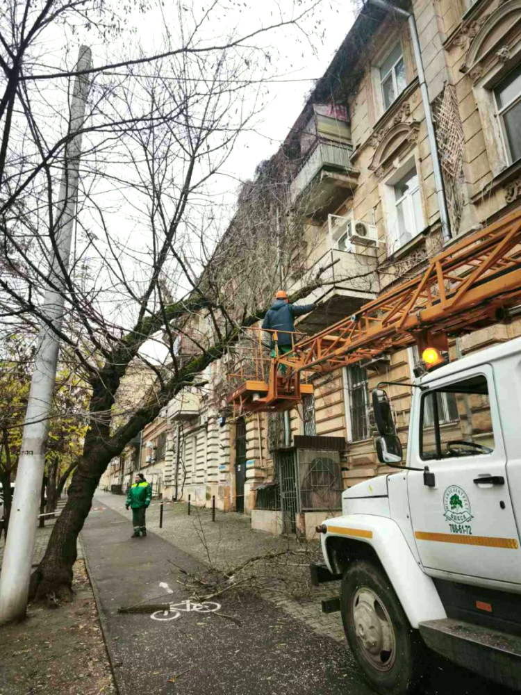 23333 image for slide