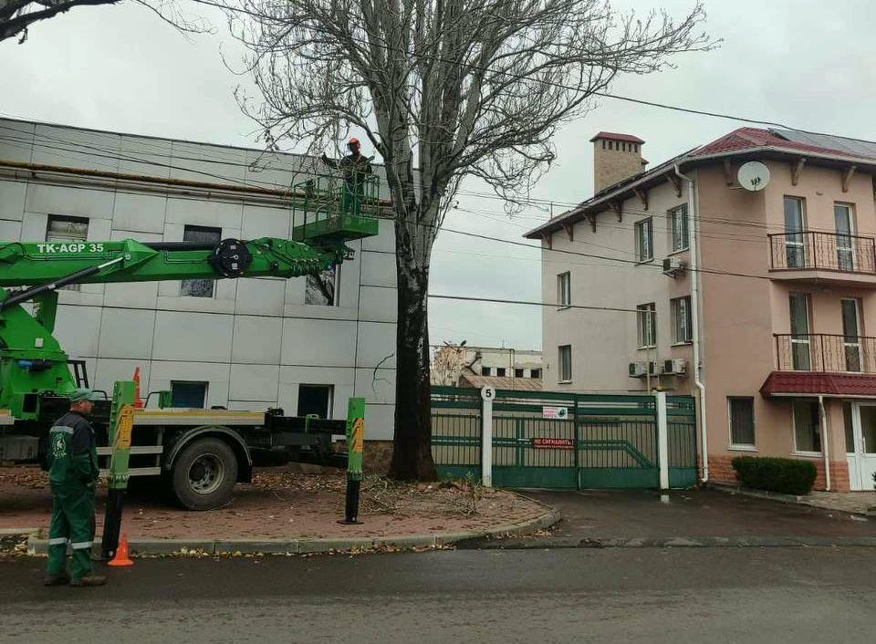 23335 image for slide