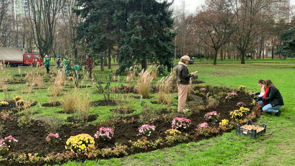 23412 image for slide