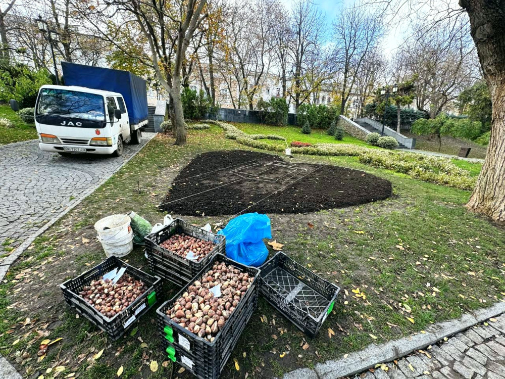 23415 image for slide