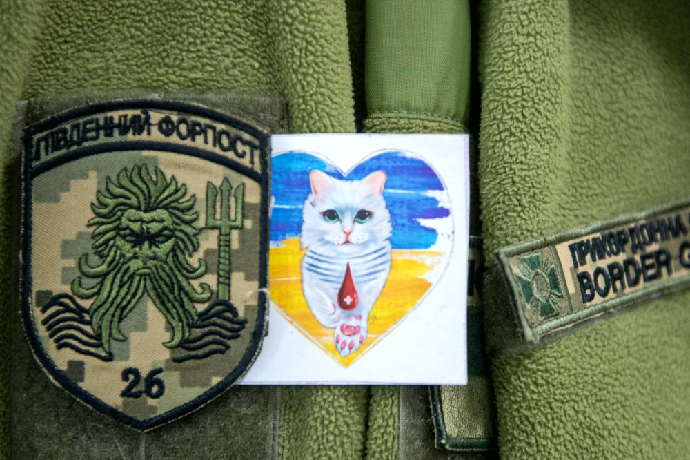 23440 image for slide